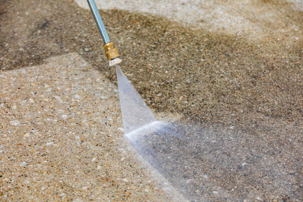 Best Driveway Pressure Washing  in Lexington, TX